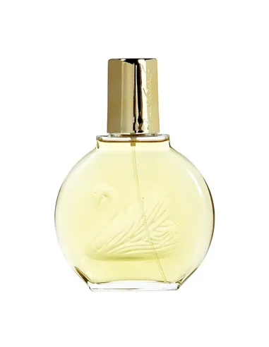 Women's Perfume Vanderbilt Vanderbilt EDT EDT 100 ml Gloria Vanderbilt