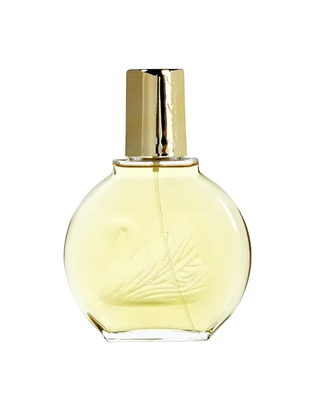 Women's Perfume Vanderbilt Vanderbilt EDT EDT 100 ml Gloria Vanderbilt