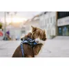 Harness tags Julius K9 DON'T TOUCH S White Black (2 Units)