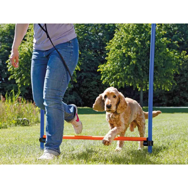 Training toy Trixie