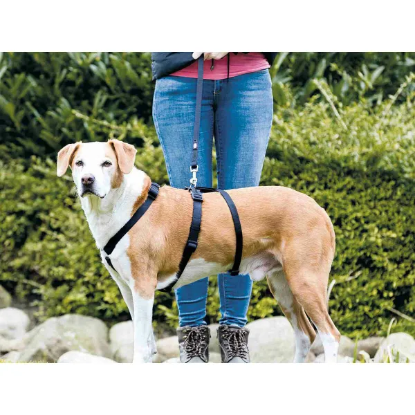 Koera juhtimisrakmed Trixie Stay Must M/L