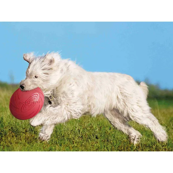 Frisbee Trixie Natural rubber Ø 24 cm