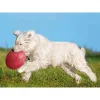 Фрисби Trixie Резиновый Ø 24 cm