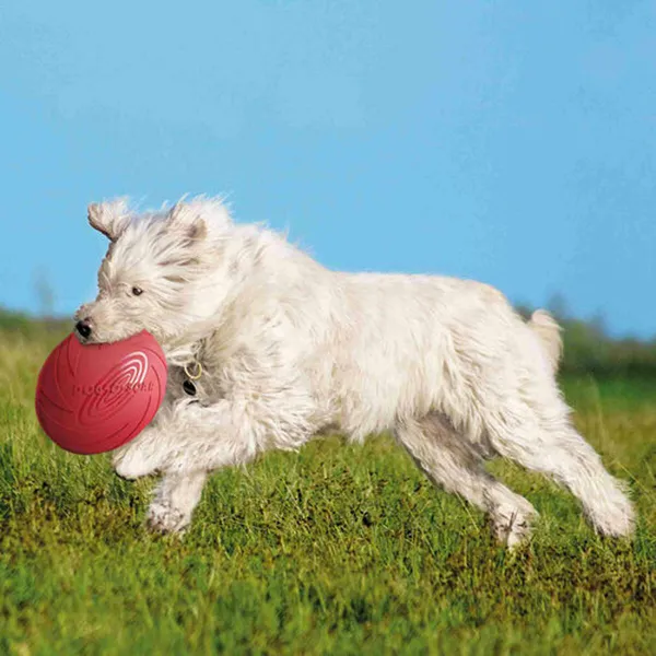 Frisbee Trixie Luonnonkumi Ø 24 cm