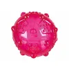 Koiranlelu Trixie Luonnonkumi TPR Ø 8 cm
