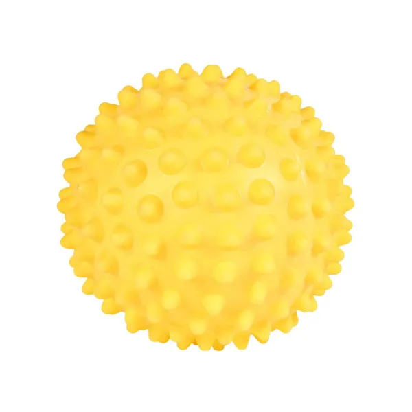 Koera mänguasi Trixie Ø 16 cm
