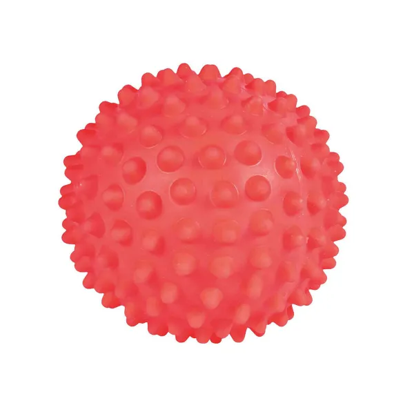 Koera mänguasi Trixie Ø 16 cm