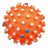 Koiranlelu Trixie Ø 10 cm Pallo