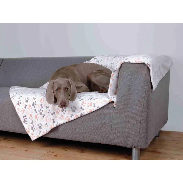 Lemmikkipeitto Trixie Lingo Valkoinen Beige 150 × 100 CM