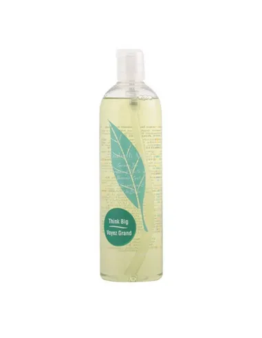 Shower Gel Elizabeth Arden 10011095 Green Tea 500 ml