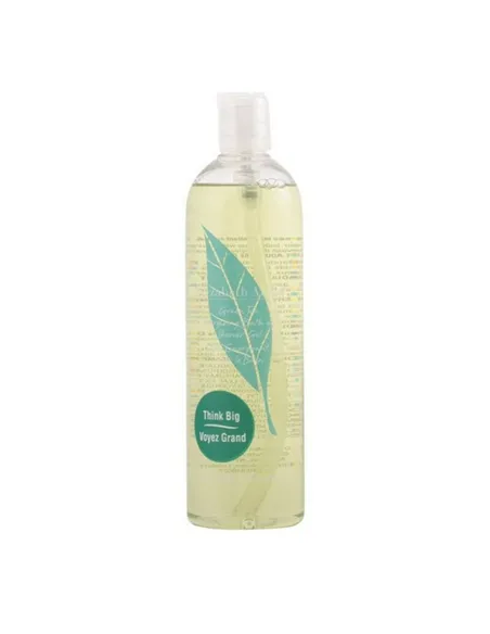 Shower Gel Elizabeth Arden 10011095 Green Tea 500 ml