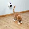 Lazerinė rodyklė Trixie