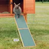 Portable ramp Trixie 20 × 50 CM