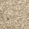 Substrate Trixie 10 L Beech