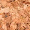 Substrate Trixie 4,5 L Coconut