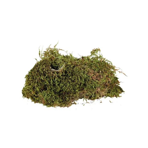 Substrate Trixie 200 g Moss