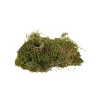 Substrate Trixie 200 g Moss