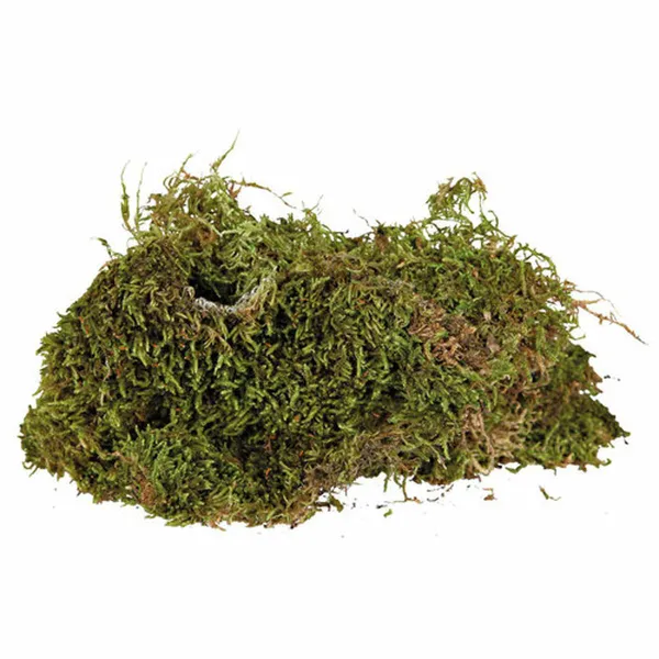 Substraat Trixie 200 g Sammal