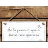 Riippuva koriste Magnet & Steel Sé la persona que tu perro cree que eres 13 x 13 x 0,8 cm