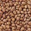 Linnunruoka Deli Nature Premium 1 kg