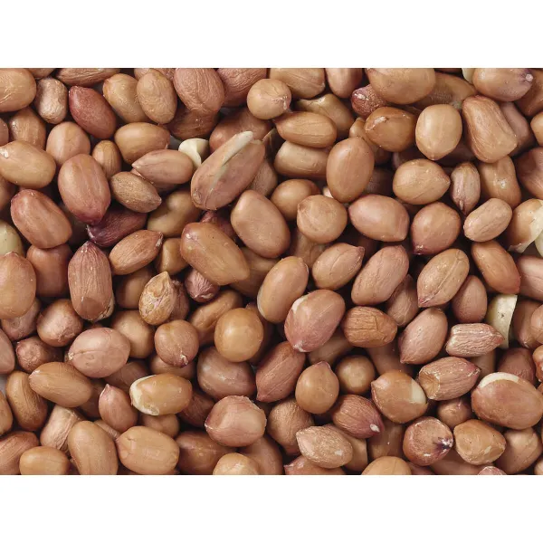 Корм для птиц Deli Nature Premium 3 Kg