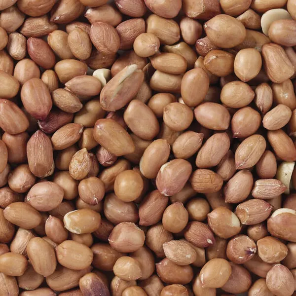 Linnunruoka Deli Nature Premium 3 Kg