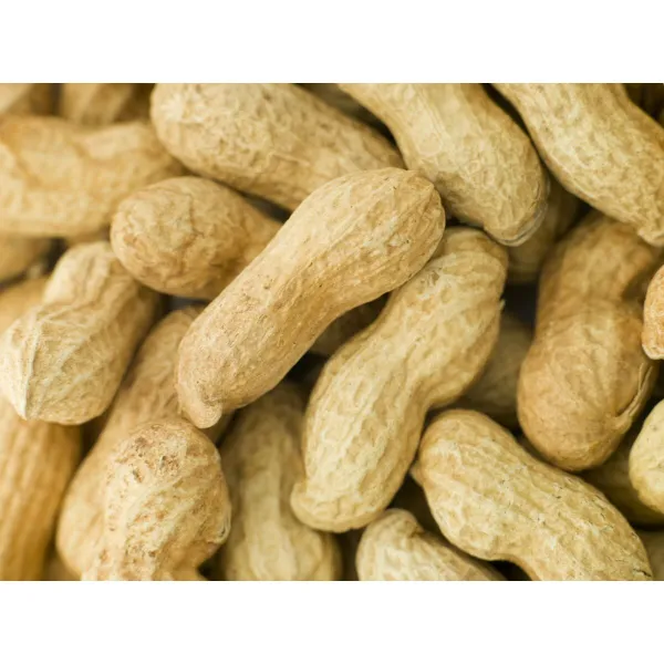 Bird food Deli Nature Premium 1,6 kg