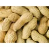 Linnunruoka Deli Nature Premium 1,6 kg