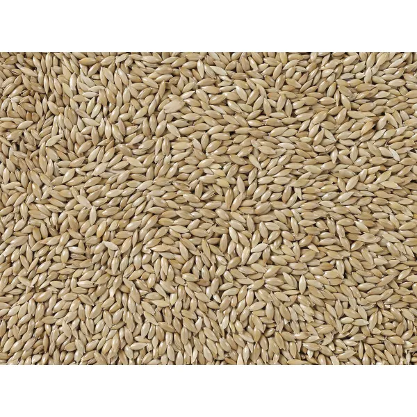 Paukščių maistas Deli Nature Premium 5 kg