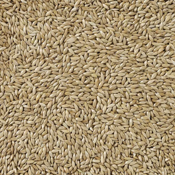 Paukščių maistas Deli Nature Premium 5 kg