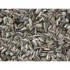 Bird food Deli Nature Premium 2,5 kg