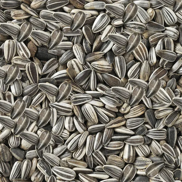 Linnunruoka Deli Nature Premium 2,5 kg