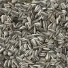 Bird food Deli Nature Premium 2,5 kg