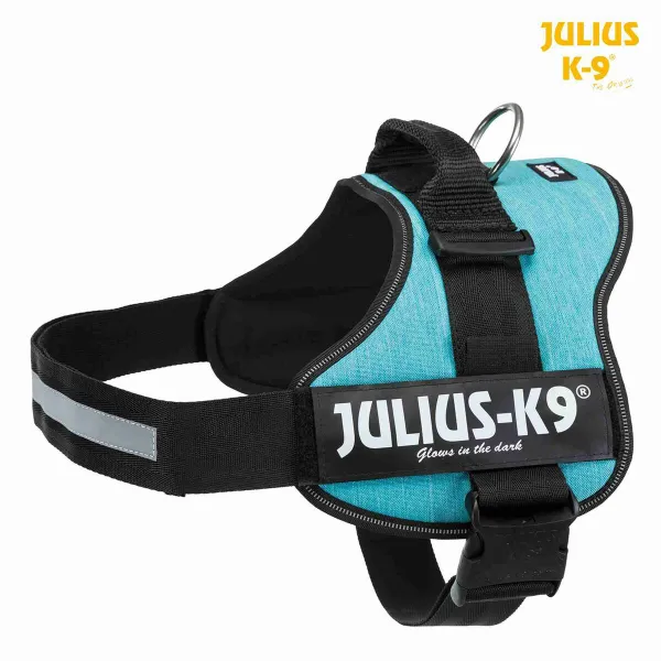 Suņu drošības siksna Trixie Power Azul Océano XL 3