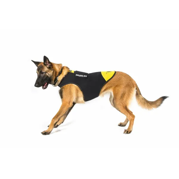 Suņu drošības siksna Julius K9 IDC L/XL 2