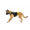 Koiran valjaat Julius K9 IDC L/XL 2