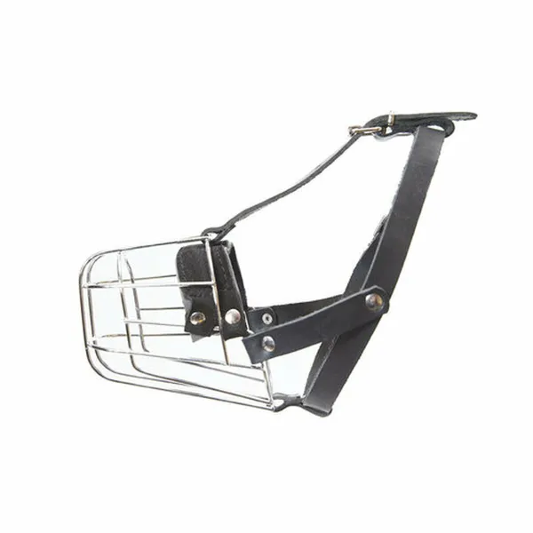 Muzzle Julius K9 Yorkshire Terrier