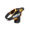 Suņu drošības siksna Julius K9 IDC Oranžs L/XL 2 71-96 cm