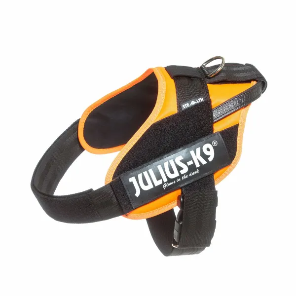 Suņu drošības siksna Julius K9 IDC Oranžs L/XL 2 71-96 cm