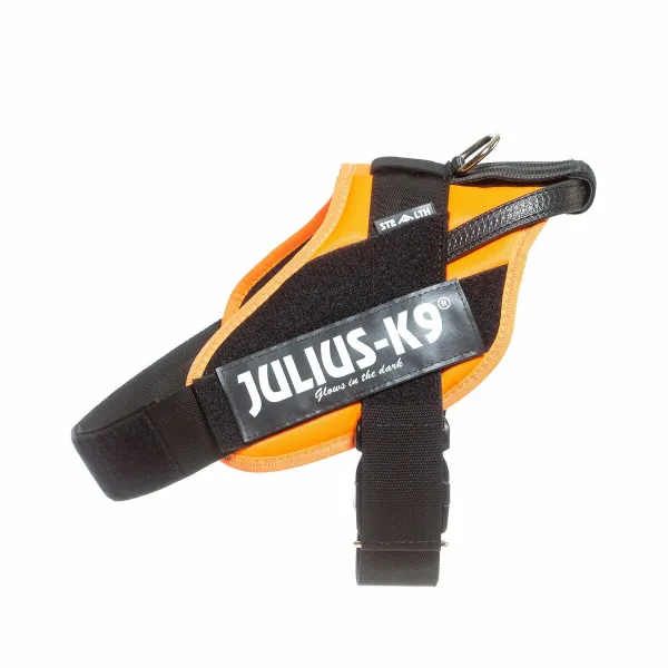 Šuns pakinktai Julius K9 IDC Oranžinė L/XL 2 71-96 cm
