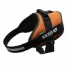 Suņu drošības siksna Julius K9 IDC Oranžs XL 3 82-118 CM