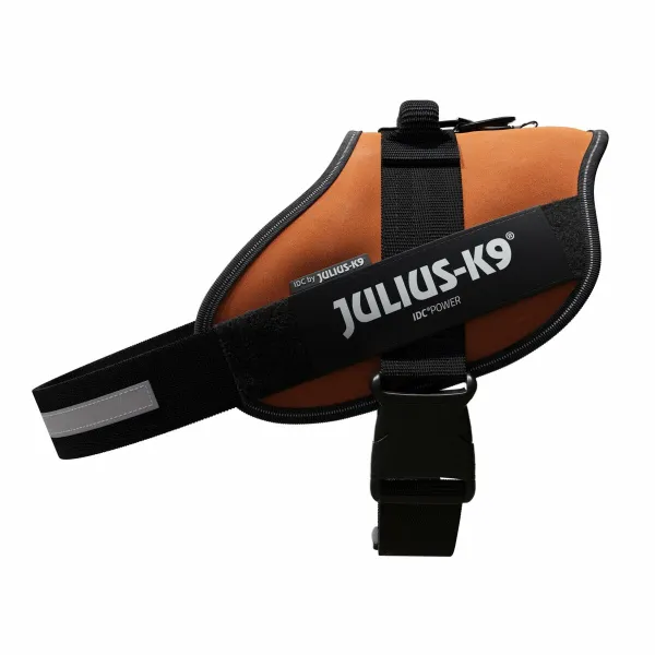 Suņu drošības siksna Julius K9 IDC Oranžs XL 3 82-118 CM