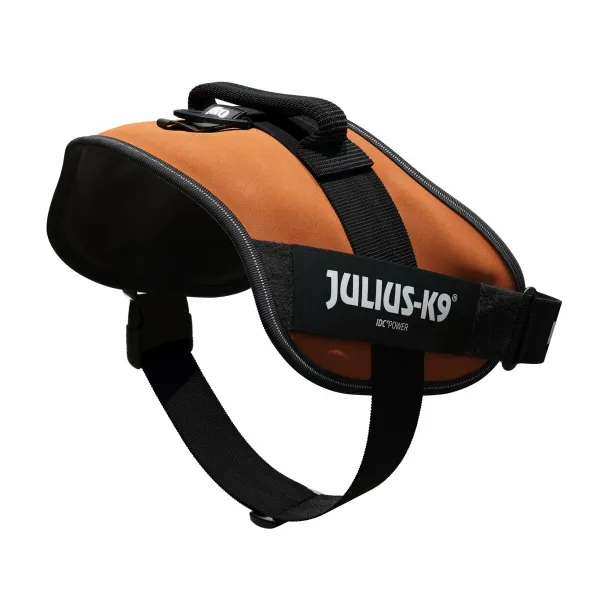 Suņu drošības siksna Julius K9 IDC Oranžs XL 3 82-118 CM