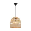 BRY-D003R-1H-1xE27-RTN-PENDANT LIGHT