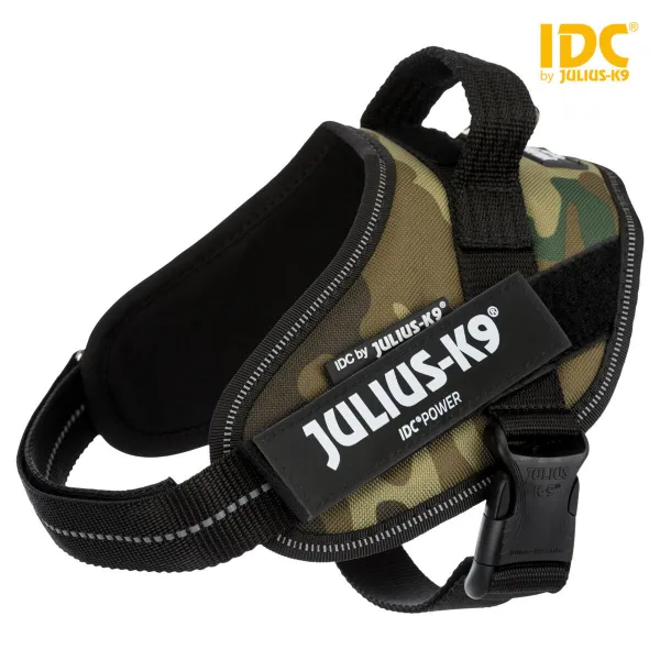 Koera rakmed Julius K9 IDC S