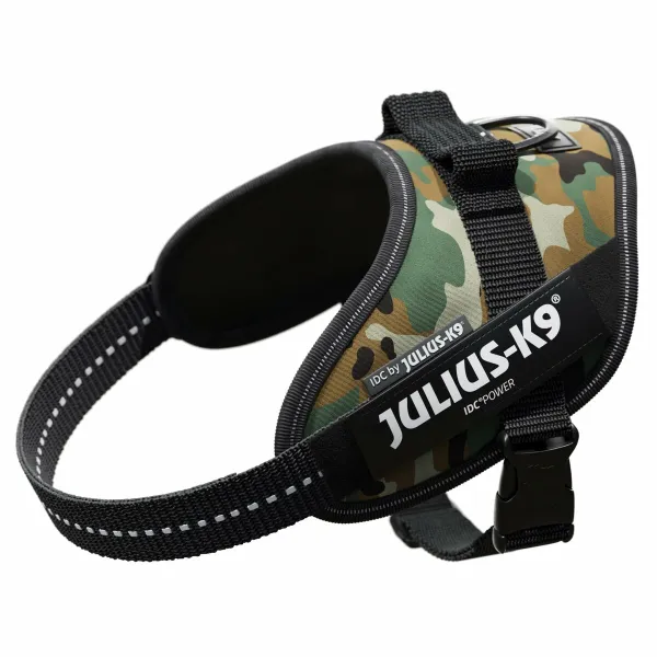 Koera rakmed Julius K9 IDC M