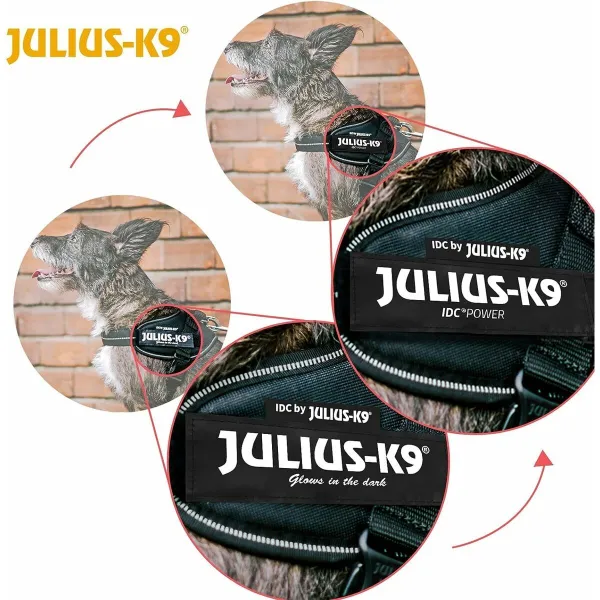 Упряжь для собак Julius K9 IDC Чёрный S