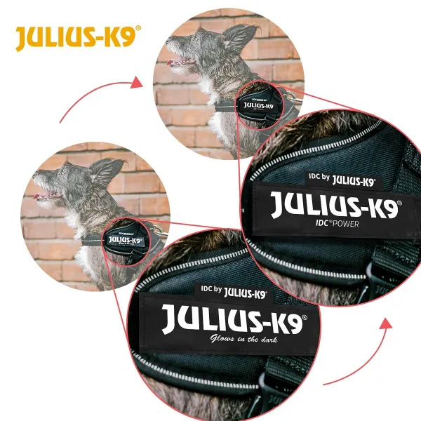 Koiran valjaat Julius K9 IDC Musta M