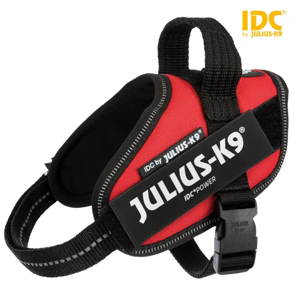 Koera rakmed Julius K9 IDC Punane S
