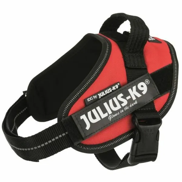 Koera rakmed Julius K9 IDC Punane S - Mini